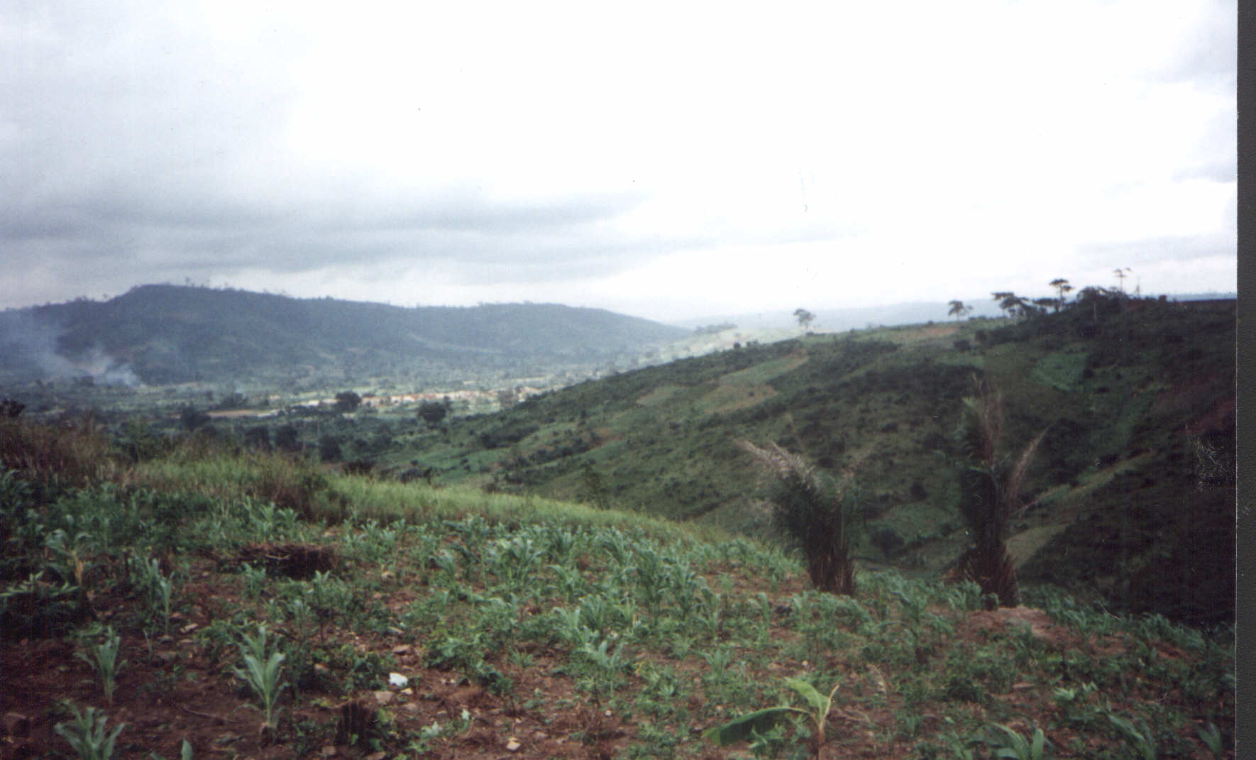 land4farmandranchetcnsonsenterprise.jpg